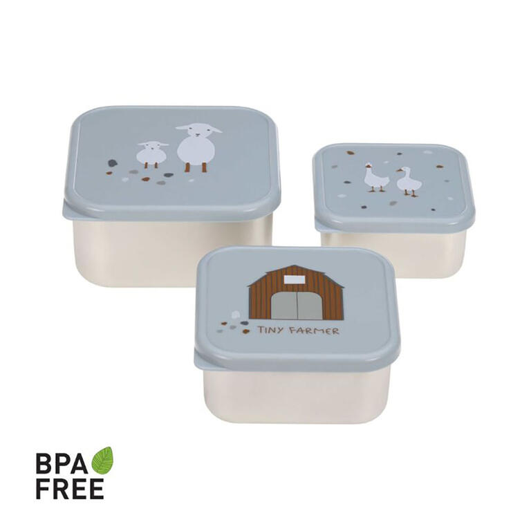 Lunchbox LASSIG (copia)