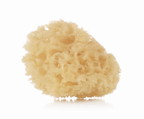 Esponja Natural Pack de 2 Jané