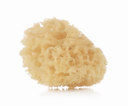 [040106C01] Esponja Natural Pack de 2 Jané